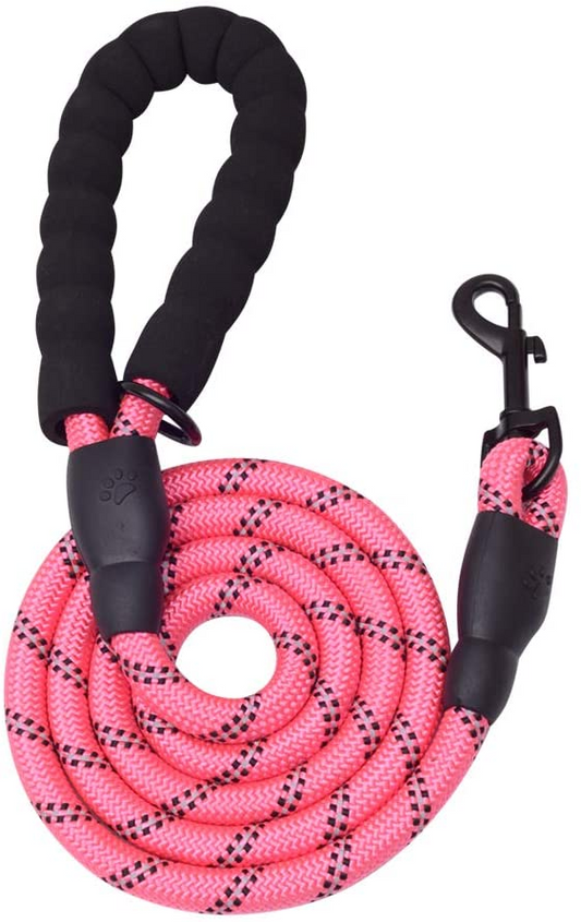 Dog Leashes Collars
