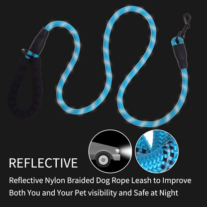 5ft Thick Reflective Dog Leash