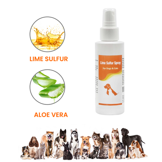 Healthy Paw Life - Lime Sulfur Spray - Pet Care for Dry and Itchy Skin - Spotcare and Safe Solution for Dog, Cat, Puppy, Kitten, Horse